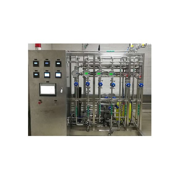 0.5T/H RO+EDI超纯水系统